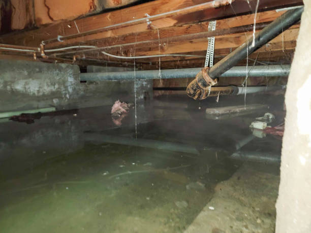 Best Ceiling water damage repair  in San Martin, CA