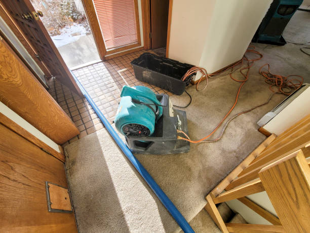 Best 24-hour water damage restoration  in San Martin, CA