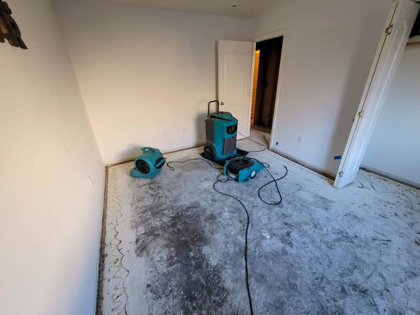 Best Carpet water damage restoration  in San Martin, CA