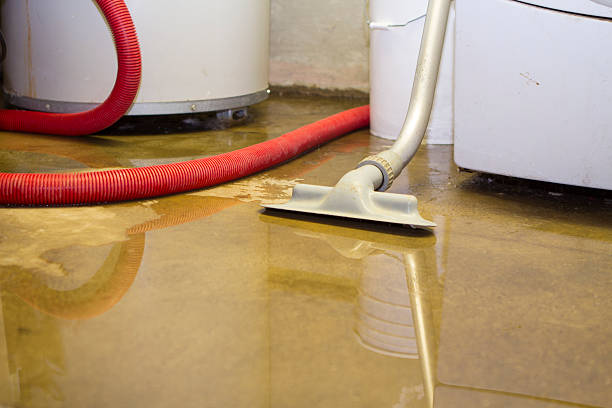 Best Flooded house restoration  in San Martin, CA