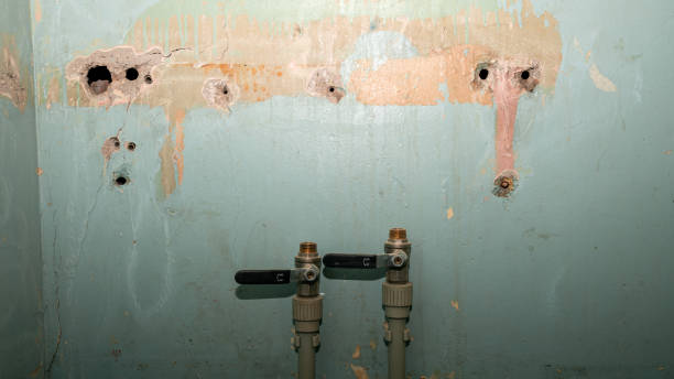  San Martin, CA Water damage restoration Pros