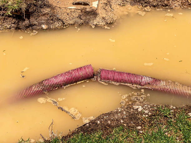 Best Carpet water damage restoration  in San Martin, CA