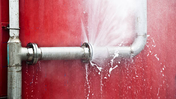 Best Local water damage restoration  in San Martin, CA